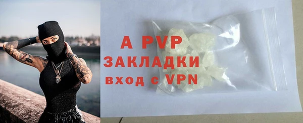 шишки Абаза