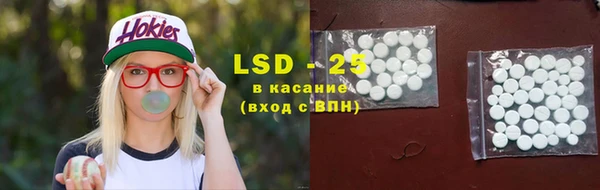 шишки Абаза