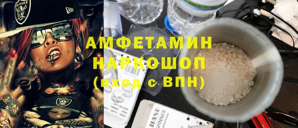 шишки Абаза