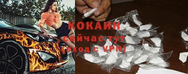 спайс Алексин