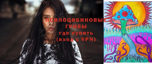 шишки Абаза