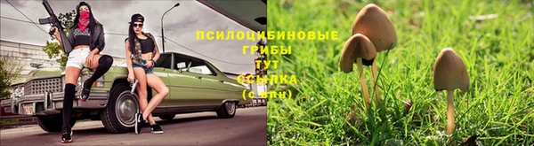 спайс Алексин